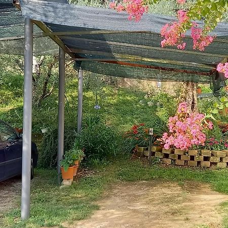 Apartamento Ca' Mirta Caprino Veronese Exterior foto